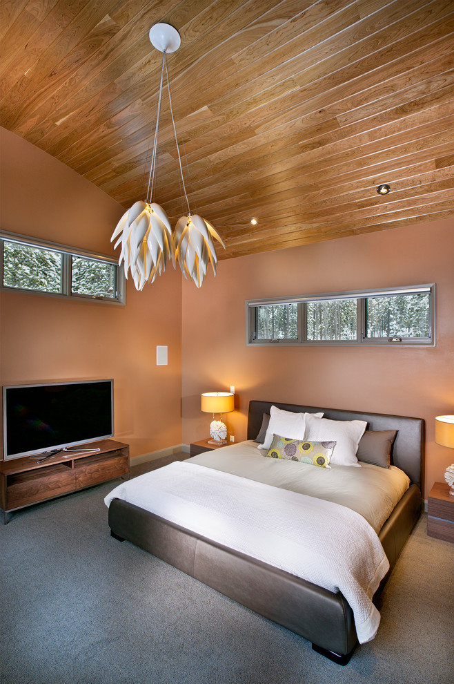 Свежая идея для дизайна: большая хозяйская спальня в современном стиле с ковровым покрытием и коричневыми стенами - отличное фото интерьера