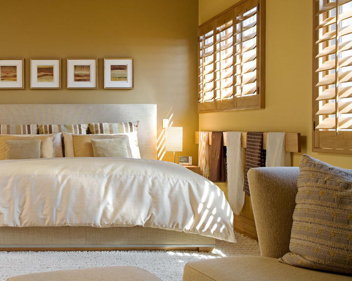 Источник вдохновения для домашнего уюта: большая хозяйская спальня в стиле модернизм с коричневыми стенами
