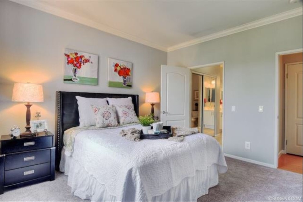 Bedroom - mid-sized contemporary master carpeted bedroom idea in San Diego with blue walls and no fireplace