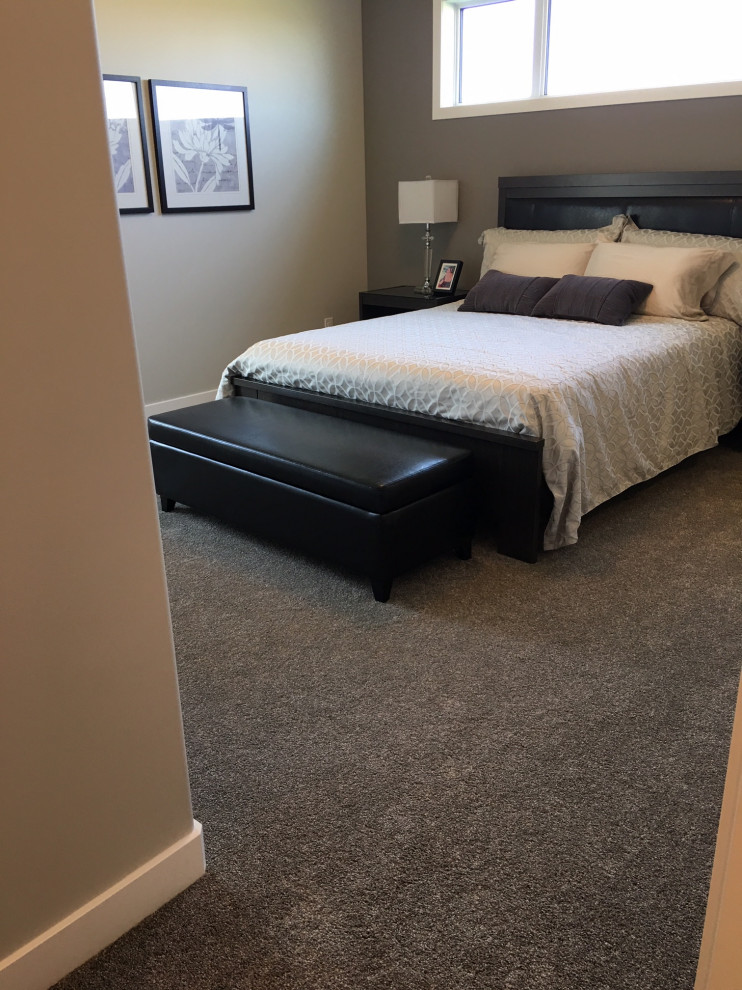 Photo of a medium sized modern guest bedroom in Other with brown walls, carpet and brown floors.