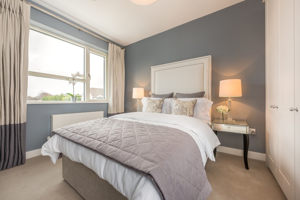 Bedroom - transitional bedroom idea in Dublin