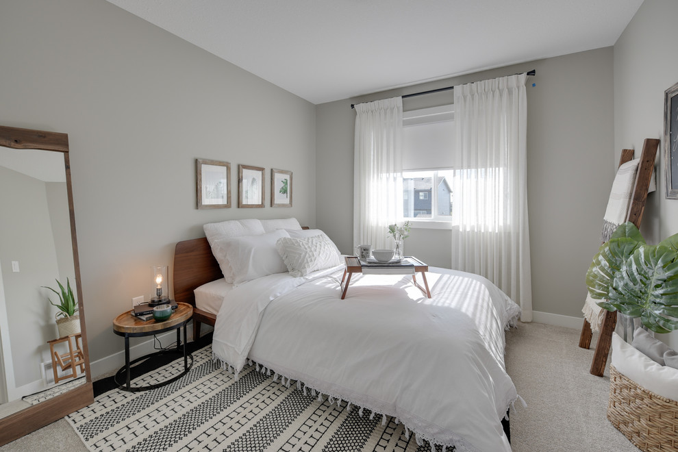 Источник вдохновения для домашнего уюта: гостевая спальня среднего размера, (комната для гостей) в стиле модернизм с серыми стенами, ковровым покрытием и бежевым полом
