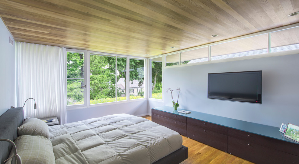 Esempio di una camera da letto design con pavimento in legno massello medio
