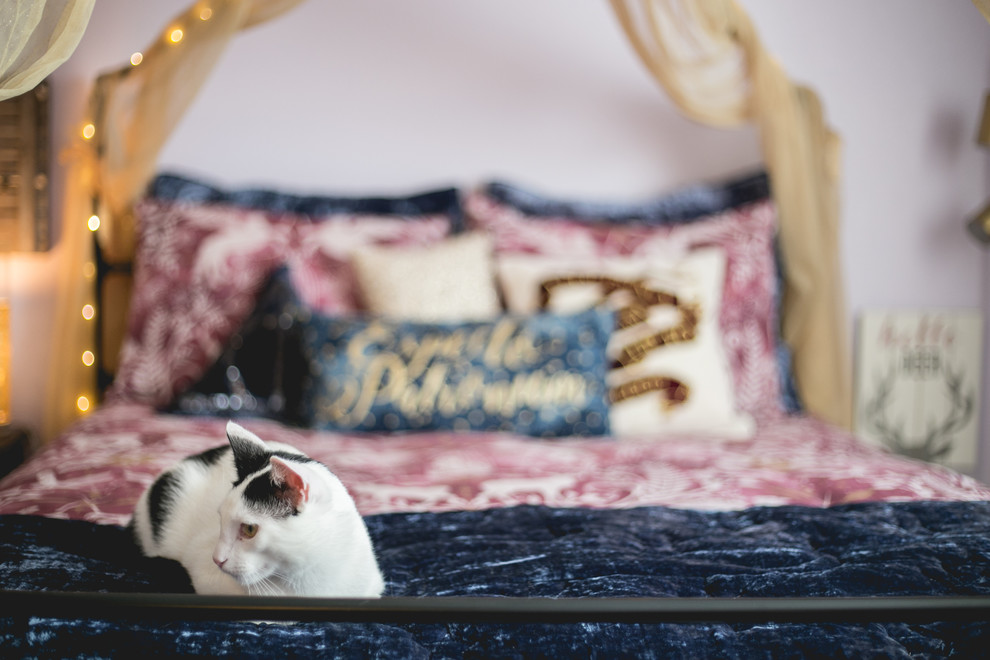 Kleines Shabby-Look Schlafzimmer mit lila Wandfarbe und Teppichboden in Denver