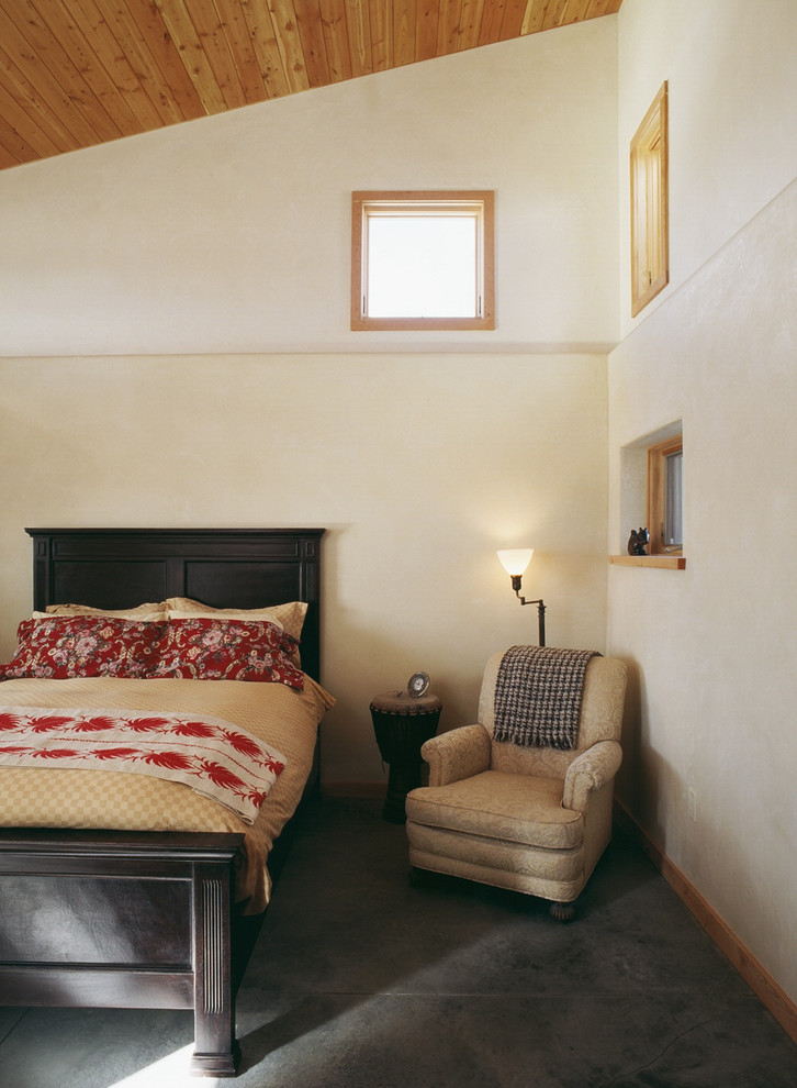 Пример оригинального дизайна: гостевая спальня среднего размера, (комната для гостей) в современном стиле с белыми стенами и бетонным полом без камина