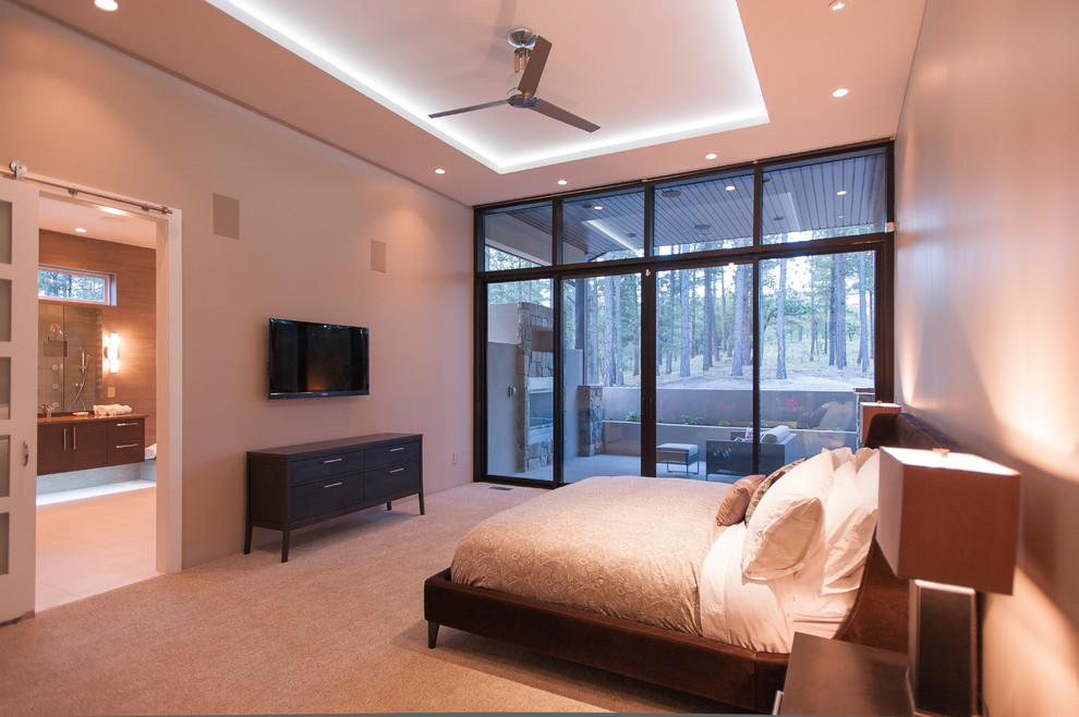 Пример оригинального дизайна: большая хозяйская спальня в современном стиле с ковровым покрытием, серыми стенами и коричневым полом без камина
