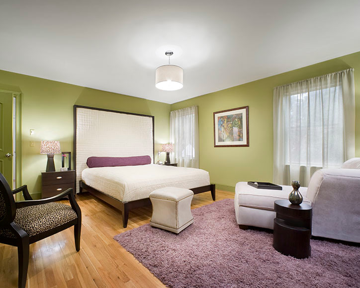 Источник вдохновения для домашнего уюта: гостевая спальня (комната для гостей) в современном стиле с зелеными стенами
