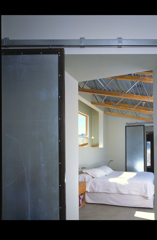 Mittelgroßes Modernes Hauptschlafzimmer ohne Kamin mit beiger Wandfarbe und Teppichboden in Denver