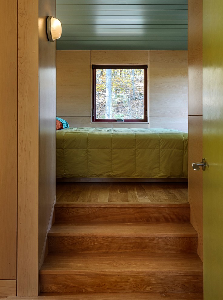 Источник вдохновения для домашнего уюта: гостевая спальня (комната для гостей) в современном стиле