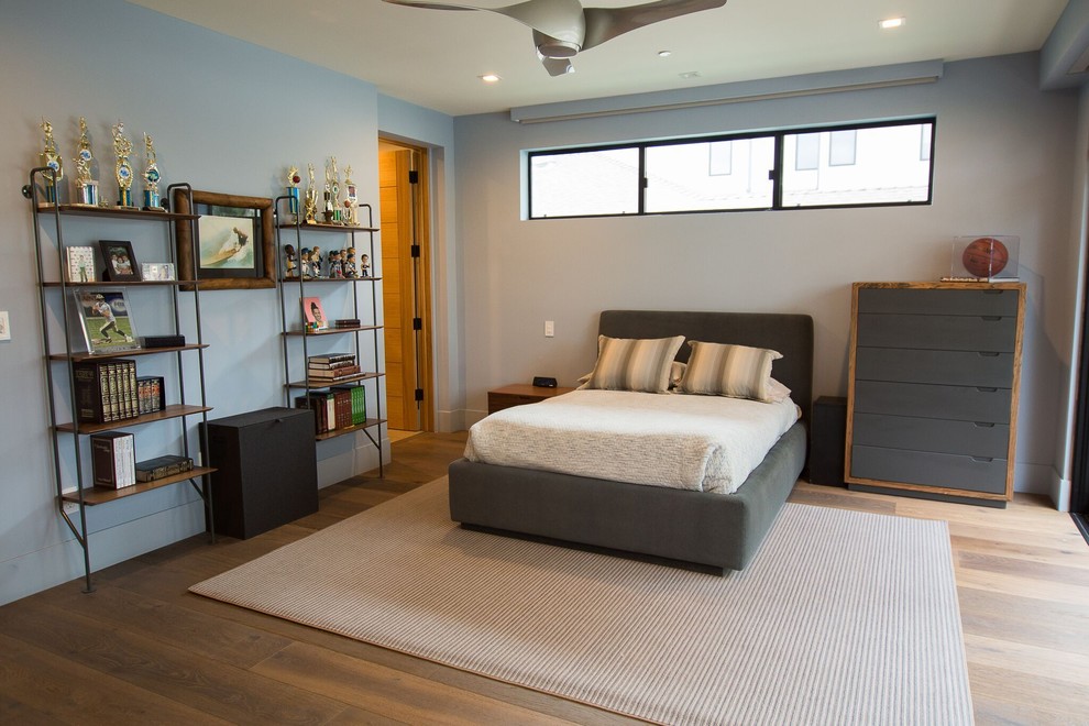Immagine di una grande camera da letto moderna con pareti blu, pavimento in legno massello medio e pavimento marrone