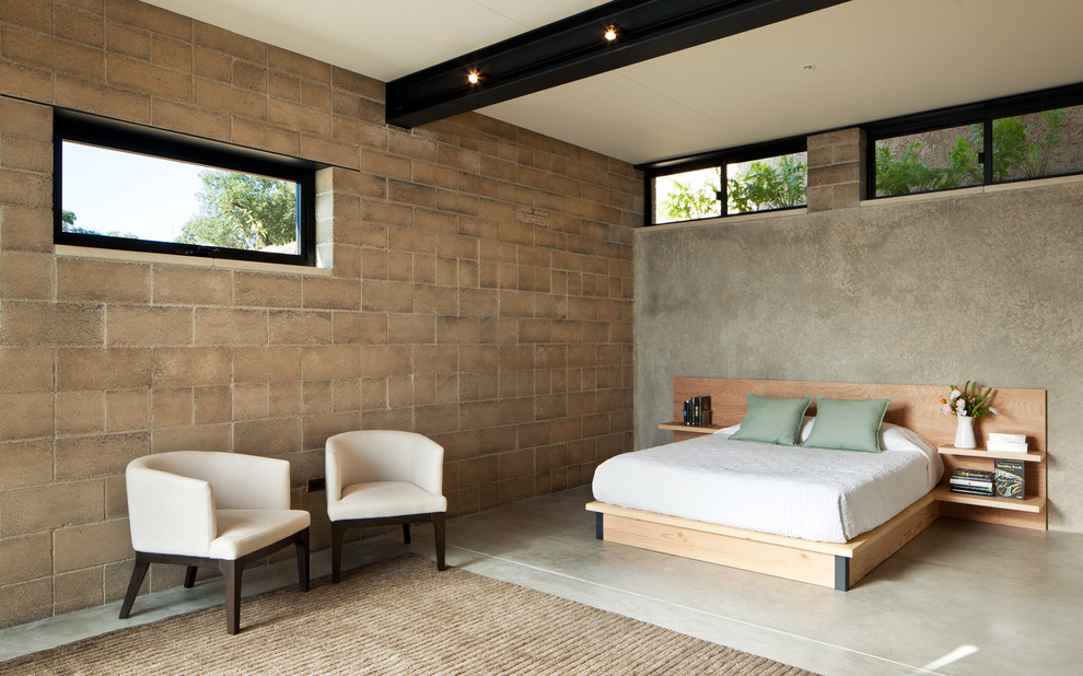 Diseño de habitación de invitados actual con paredes grises y suelo de cemento