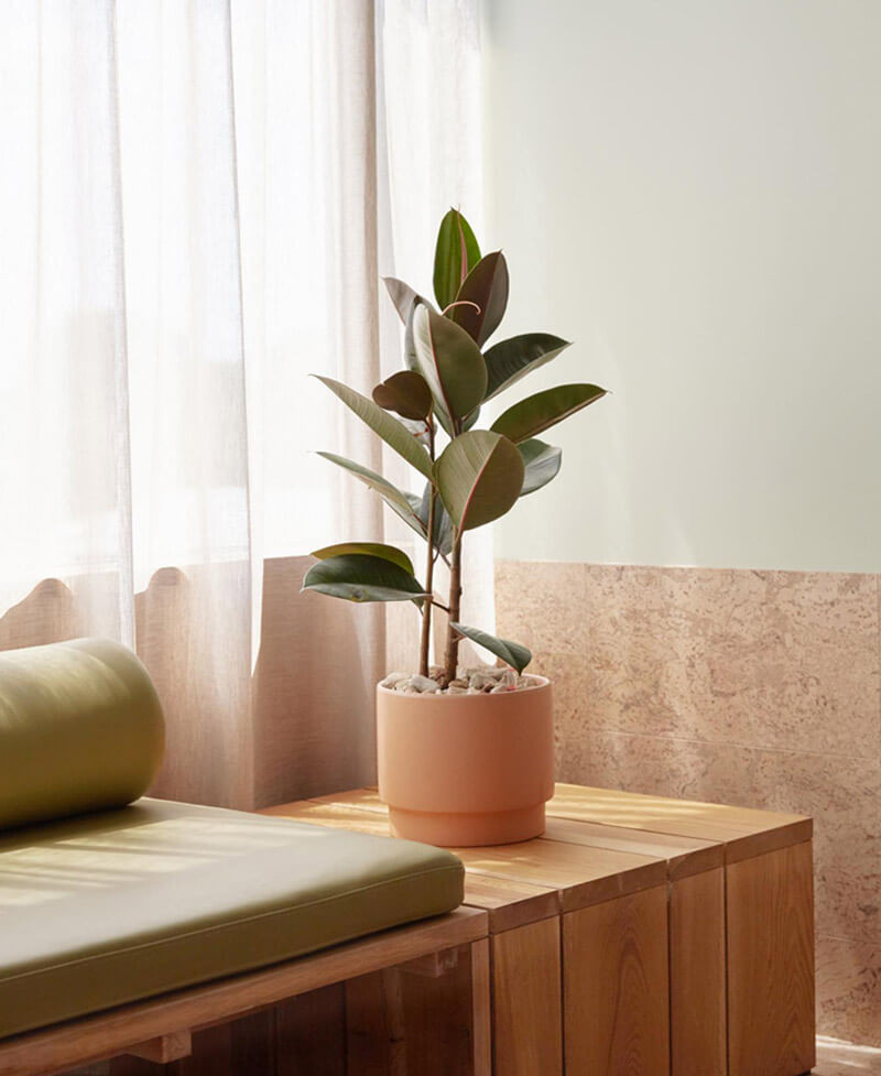 Modelo de habitación de invitados contemporánea extra grande con paredes beige, suelo de corcho y suelo beige