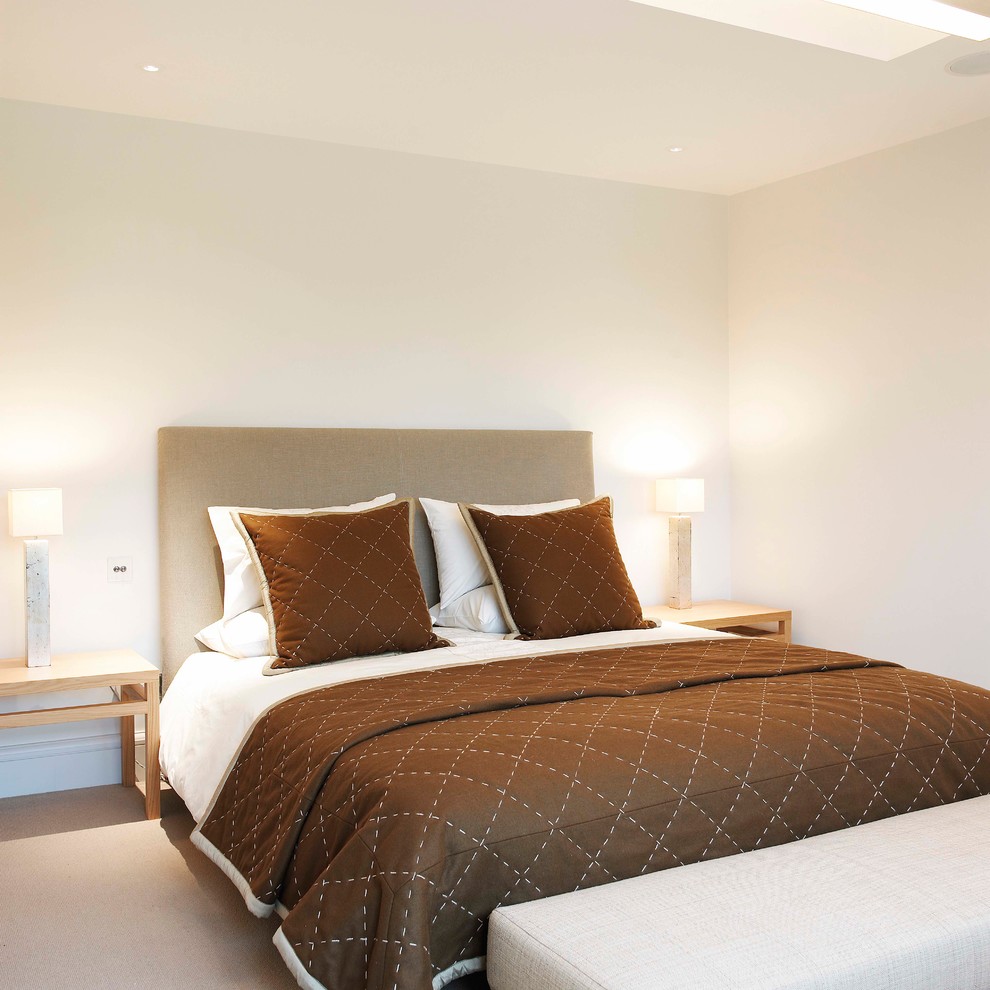 Пример оригинального дизайна: большая гостевая спальня (комната для гостей) в современном стиле с белыми стенами и ковровым покрытием