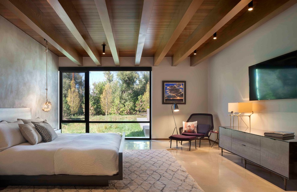 Modernes Schlafzimmer mit grauer Wandfarbe, Betonboden und beigem Boden in Denver