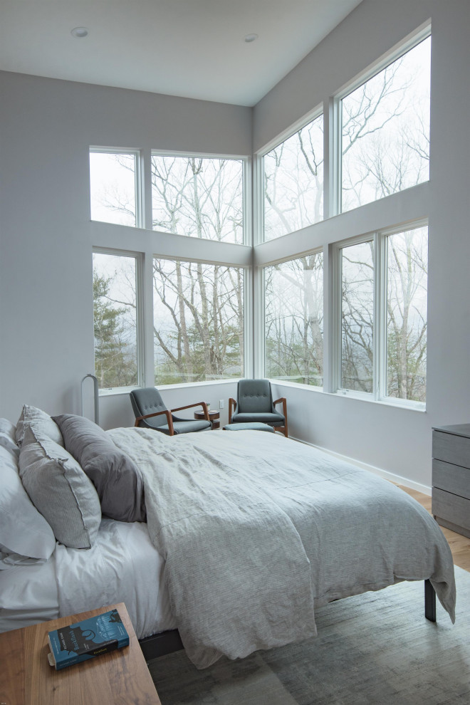 Modelo de dormitorio principal actual con paredes grises y suelo de madera clara