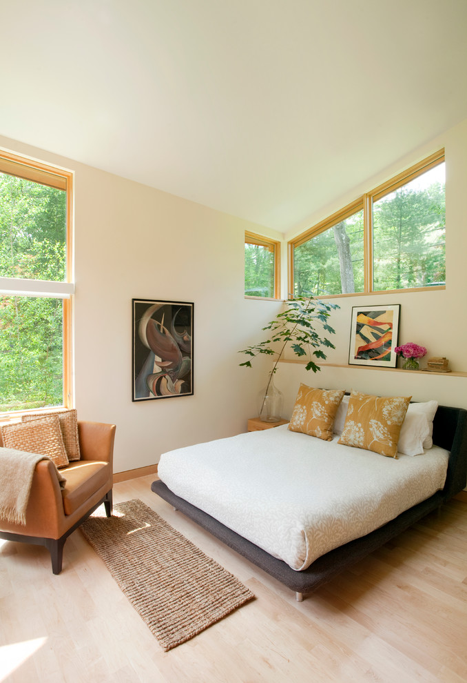 Design ideas for a contemporary bedroom in Boston.