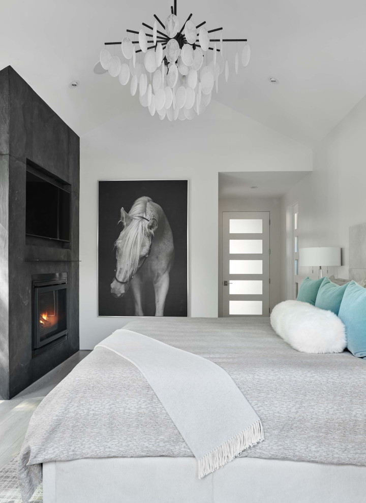 Design ideas for a medium sized contemporary master bedroom in Denver with grey walls, light hardwood flooring, a standard fireplace, a concrete fireplace surround, grey floors and a vaulted ceiling.