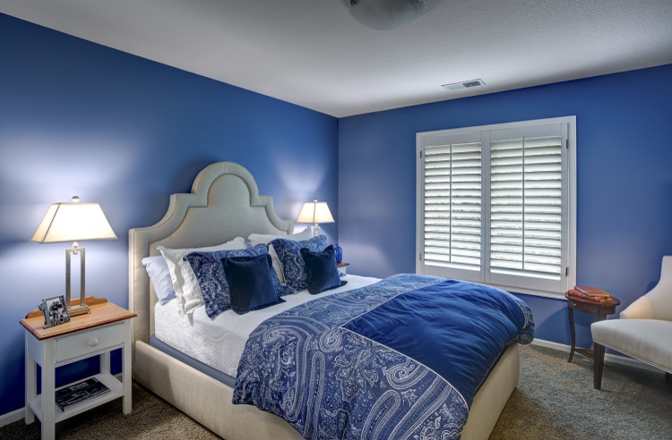 Immagine di una piccola camera degli ospiti chic con pareti blu, moquette e nessun camino