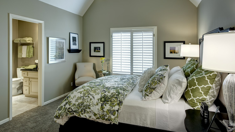 Идея дизайна: маленькая гостевая спальня (комната для гостей) в классическом стиле с зелеными стенами и ковровым покрытием без камина для на участке и в саду