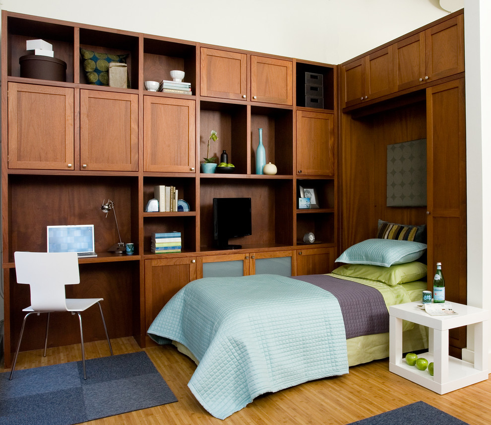 Dual Purpose Home Office & Wall Bed Port Chester, NY Transitional