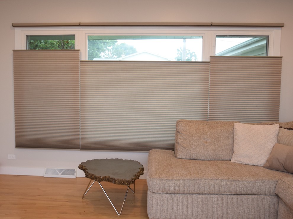 Duette Architella PowerView topdown/bottom up shades