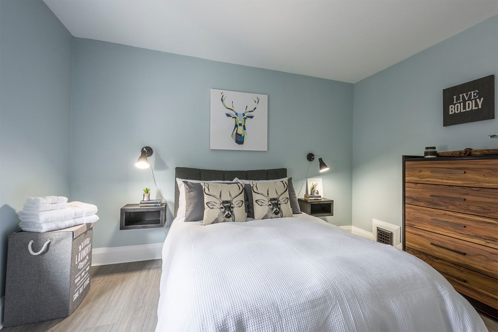 Cette image montre une chambre d'amis traditionnelle de taille moyenne avec un mur bleu, un sol en vinyl et un sol gris.