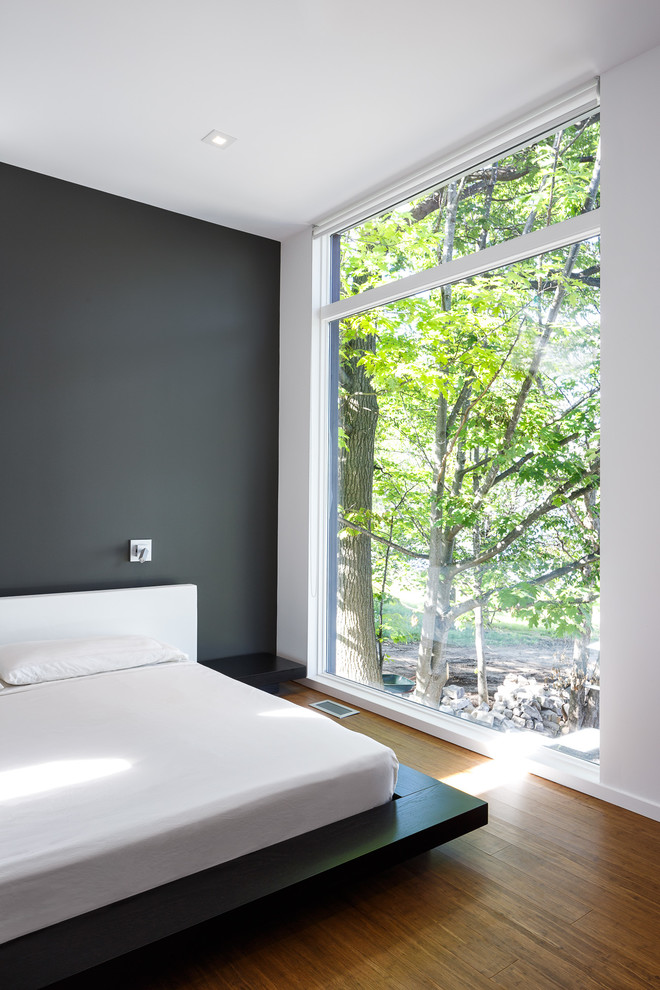 Foto de dormitorio principal minimalista con paredes grises y suelo de madera en tonos medios