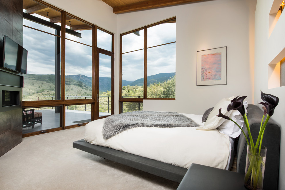 Photo of an expansive contemporary master bedroom in Denver with white walls, carpet, a ribbon fireplace, a metal fireplace surround and grey floors.