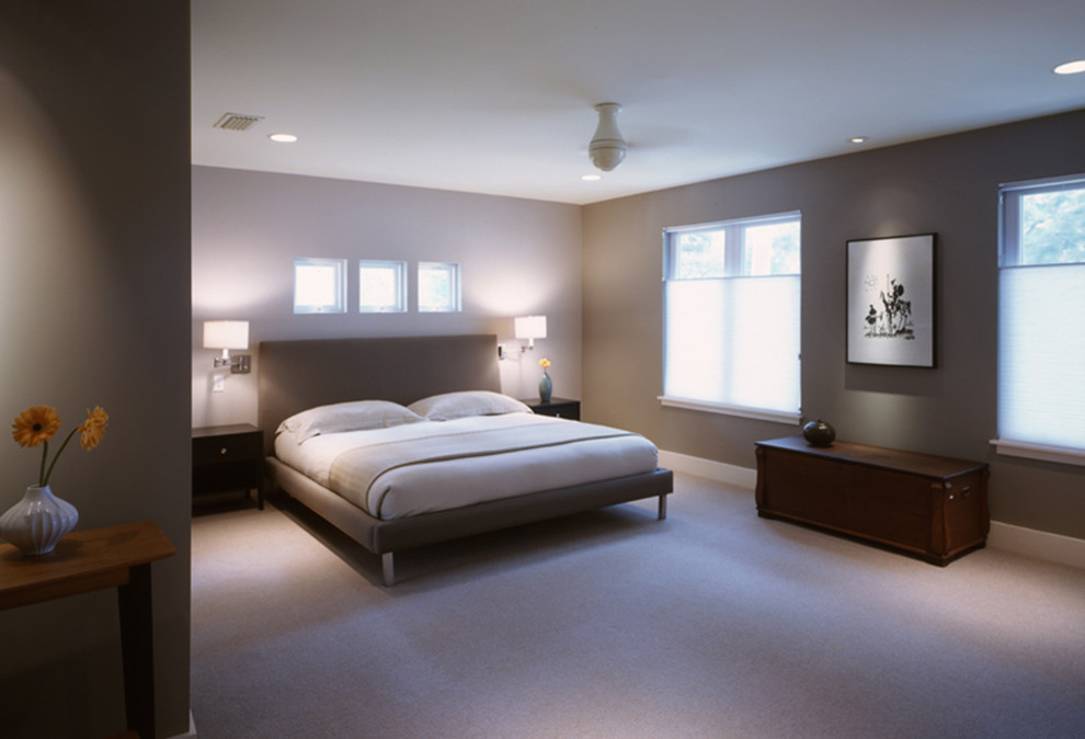 Foto de dormitorio principal contemporáneo de tamaño medio con paredes grises, moqueta y suelo gris