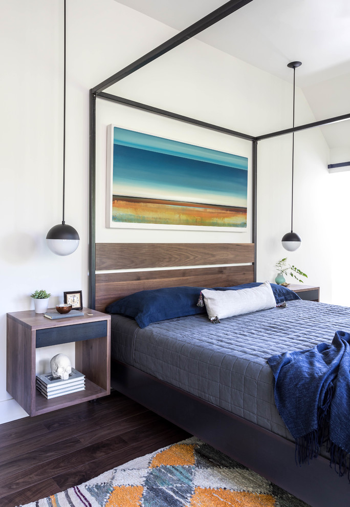Bedroom - modern bedroom idea in Sacramento