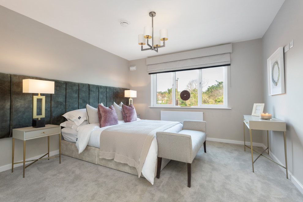 Mittelgroßes Modernes Hauptschlafzimmer mit grauer Wandfarbe, Teppichboden und grauem Boden in Dublin