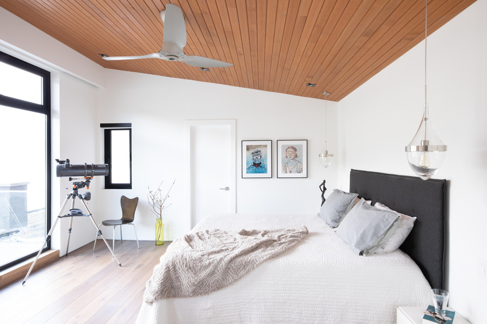 Imagen de habitación de invitados contemporánea de tamaño medio sin chimenea con paredes blancas, suelo de madera clara y suelo beige