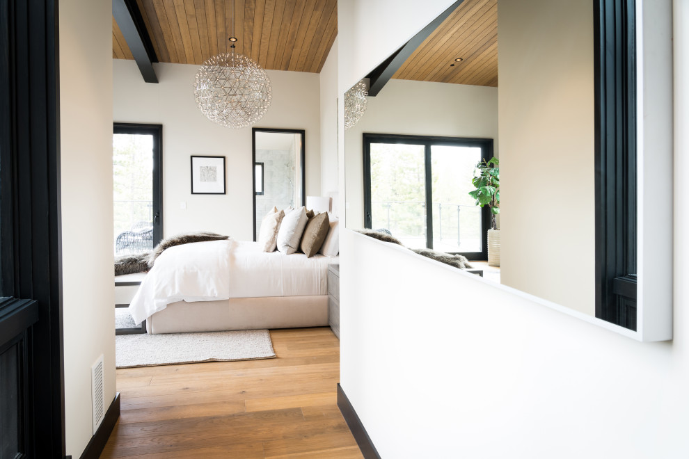 Foto de dormitorio principal moderno grande con paredes blancas, suelo de madera en tonos medios, todas las chimeneas, marco de chimenea de piedra y suelo marrón