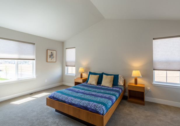 Inspiration for a transitional bedroom remodel in Denver