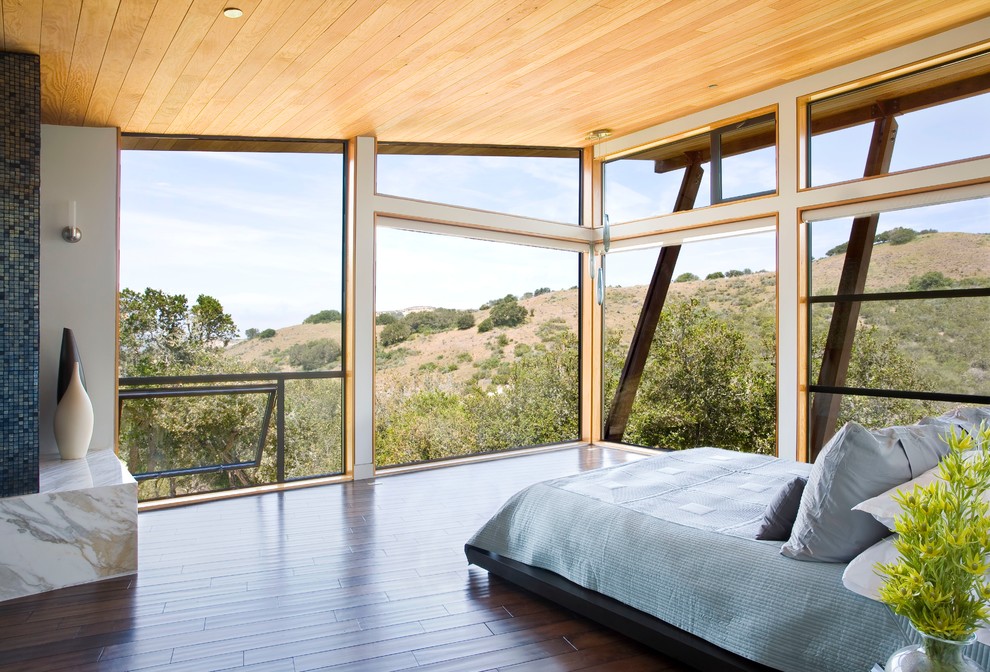 Mittelgroßes Modernes Schlafzimmer ohne Kamin mit weißer Wandfarbe, dunklem Holzboden und braunem Boden in Santa Barbara
