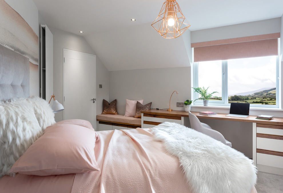 ダブリンにある小さな北欧スタイルのおしゃれな寝室 (白い壁) のインテリア