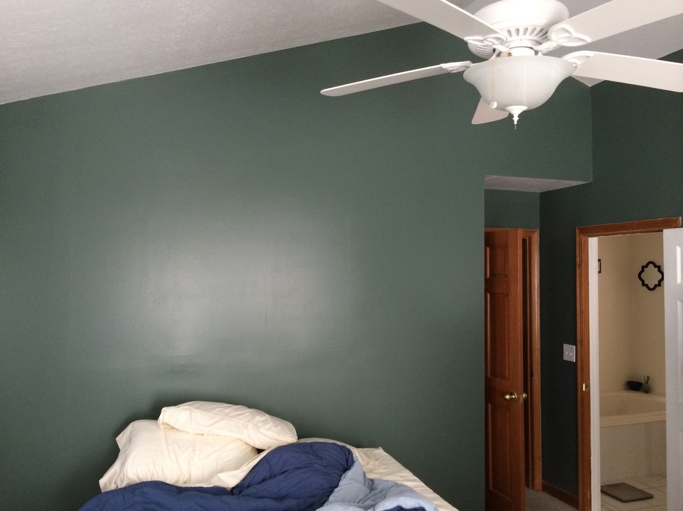 Inspiration for a large contemporary bedroom in Columbus with green walls.