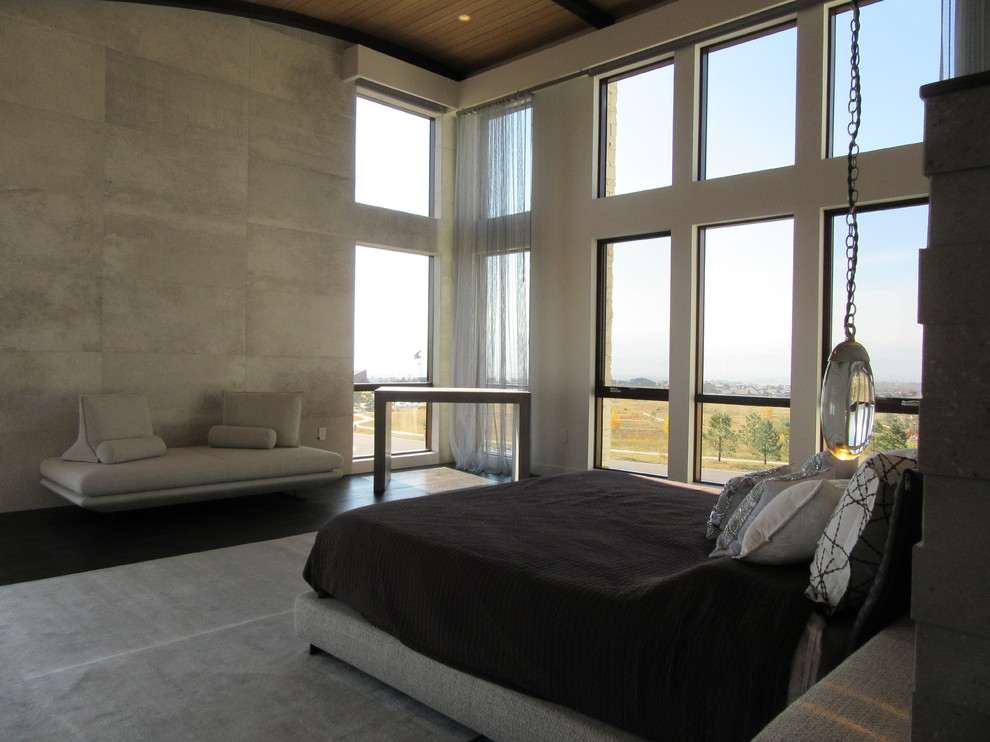 Bedroom - huge contemporary master dark wood floor and brown floor bedroom idea in San Francisco with gray walls