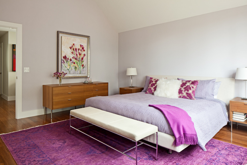 Foto de dormitorio actual con paredes púrpuras y suelo de madera en tonos medios