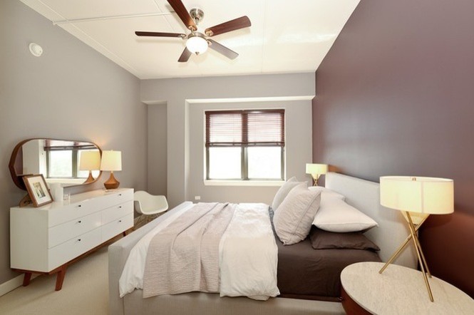 Стильный дизайн: хозяйская спальня среднего размера в стиле модернизм с фиолетовыми стенами, ковровым покрытием и бежевым полом - последний тренд
