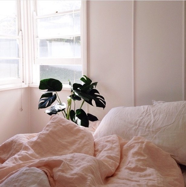 Scandi bedroom in Wollongong with white walls and painted wood flooring.