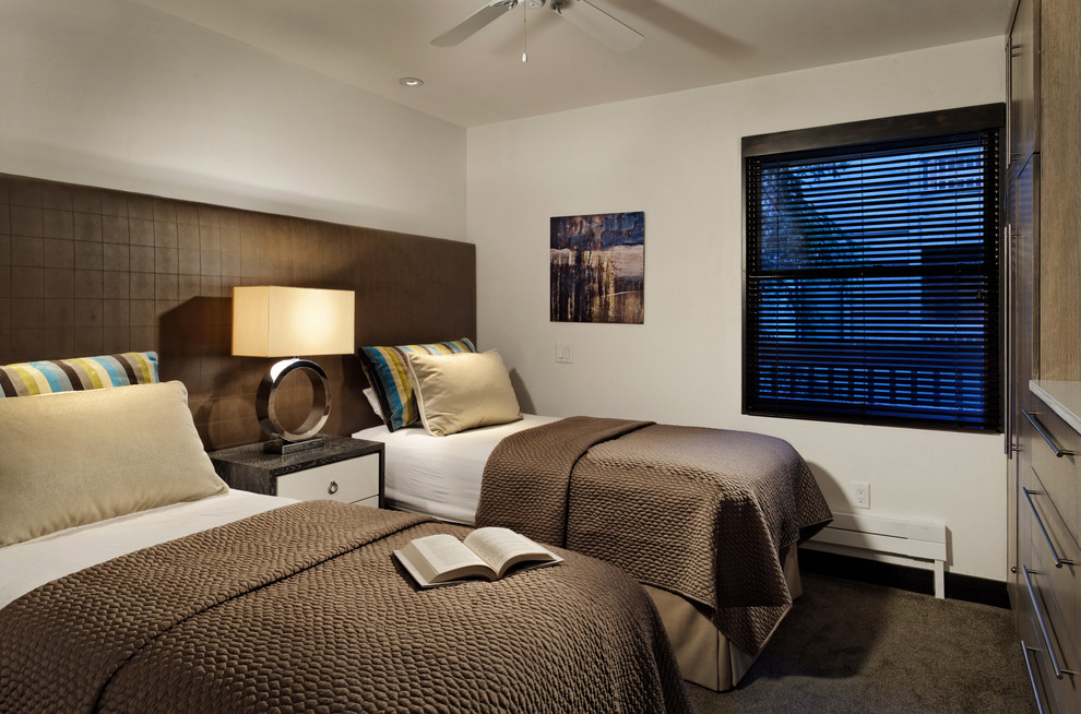 Kleines Modernes Gästezimmer ohne Kamin mit weißer Wandfarbe und Teppichboden in Denver