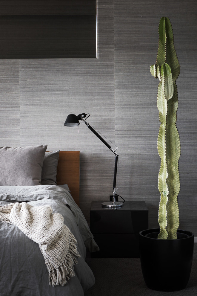 Пример оригинального дизайна: хозяйская спальня в современном стиле с серыми стенами