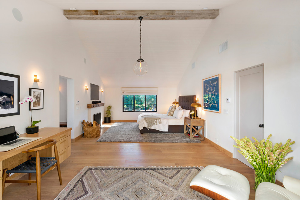 Imagen de dormitorio principal contemporáneo con paredes blancas, suelo de madera clara, todas las chimeneas, marco de chimenea de yeso y suelo marrón