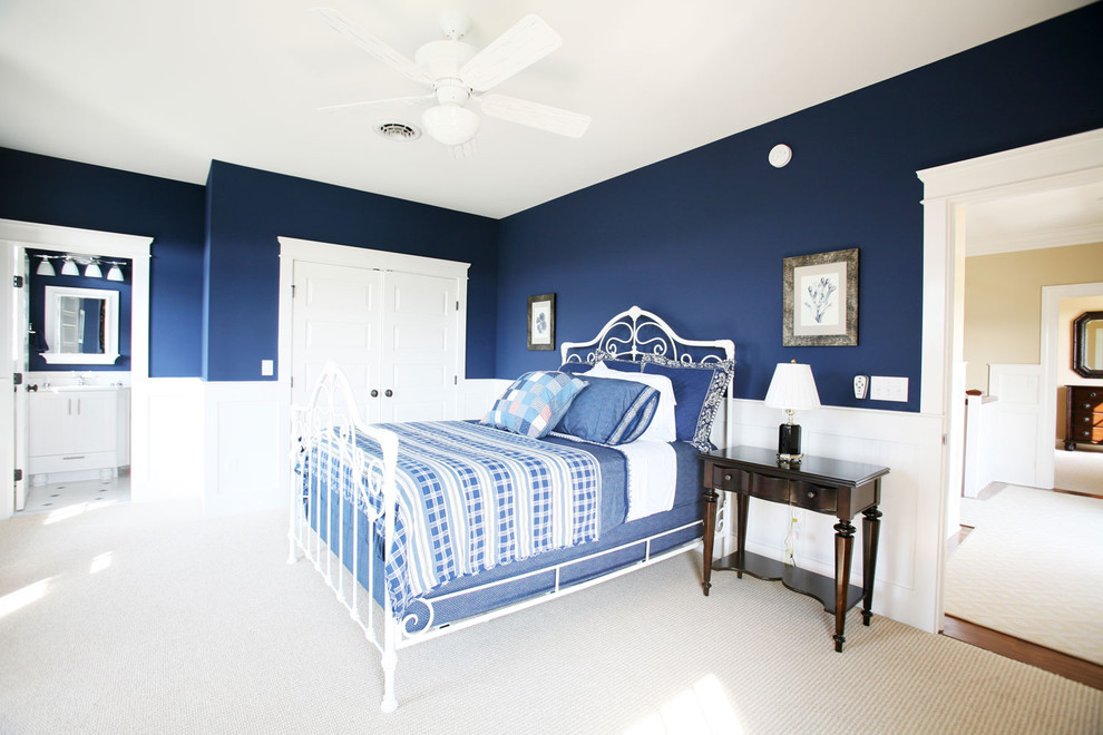 Design ideas for a traditional bedroom in Other with blue walls.