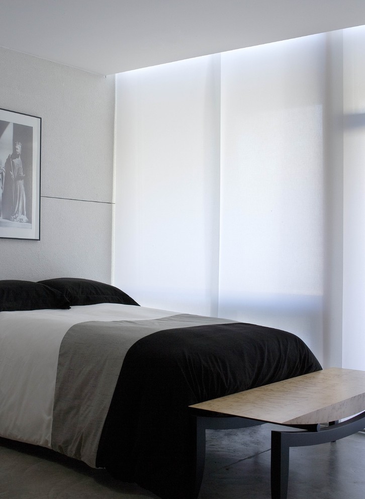 Esempio di una camera degli ospiti minimalista con pavimento in cemento, pareti bianche e nessun camino