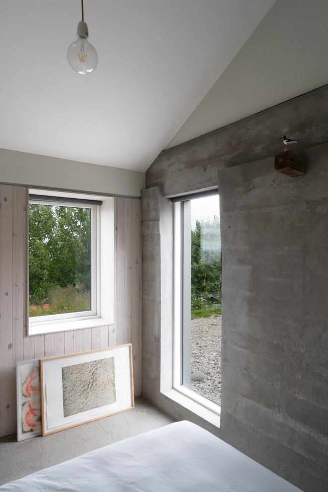 Foto di una camera degli ospiti nordica di medie dimensioni con pareti grigie, pavimento in cemento, nessun camino e pavimento grigio