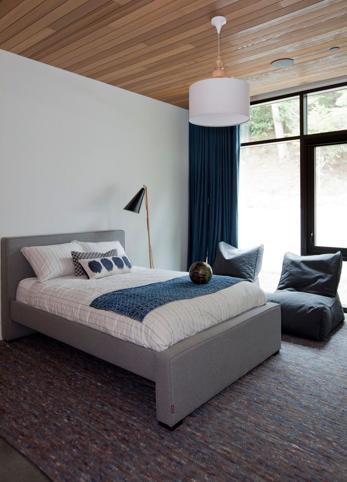 Стильный дизайн: гостевая спальня (комната для гостей) в современном стиле с белыми стенами и синими шторами - последний тренд
