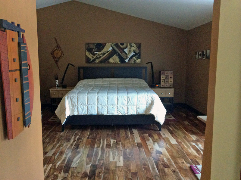 Medium sized modern master bedroom in Detroit with brown walls, medium hardwood flooring and no fireplace.