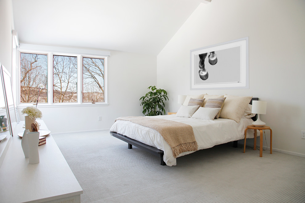 Inspiration for a contemporary master carpeted and gray floor bedroom remodel in New York with white walls